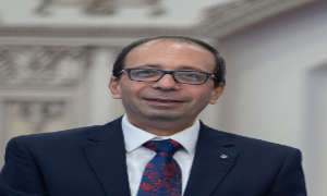 أ.د/ محمد عوض 